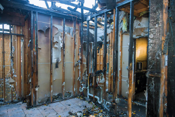 Professional Fire Damage Removal technician working in Fergus Falls, MN